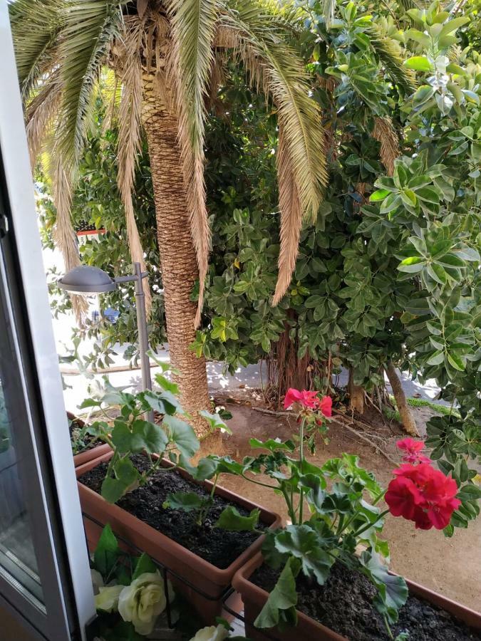 Apartment In Βαλένθια Εξωτερικό φωτογραφία